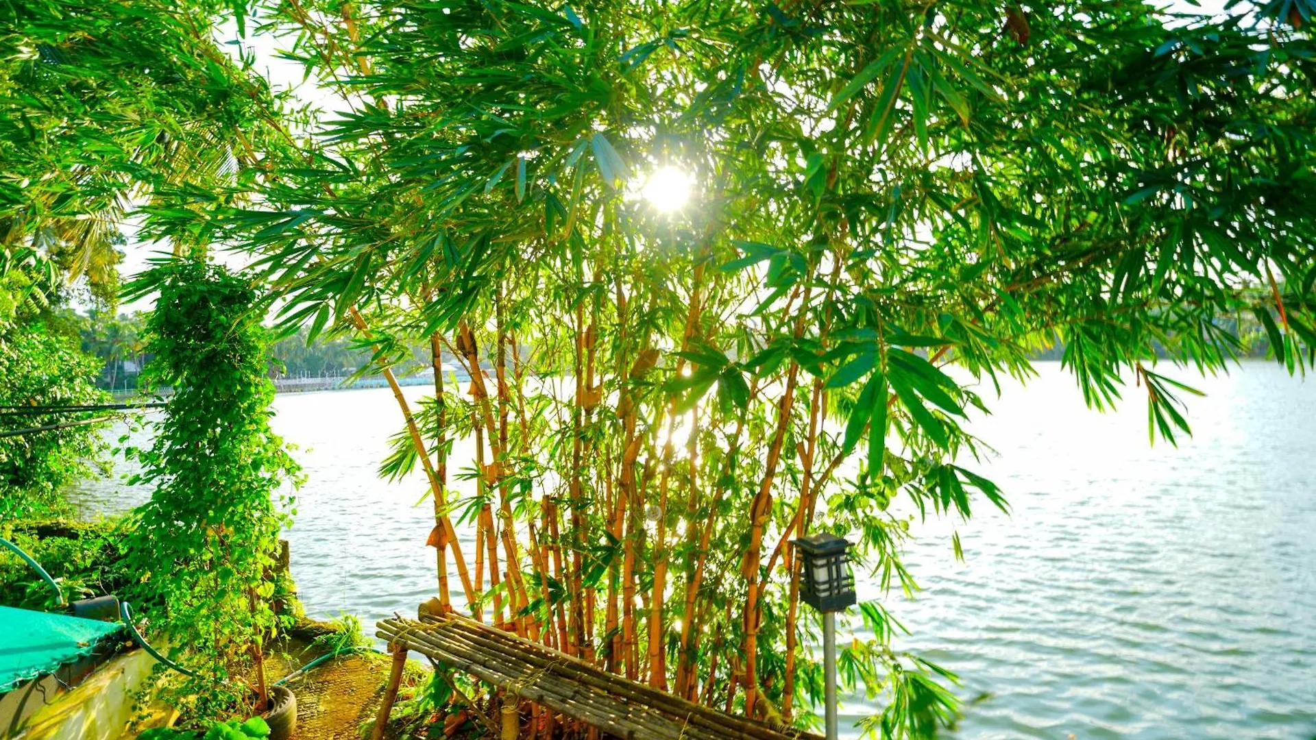 Jaladhija - Lakeview Homestay Kozhikode India
