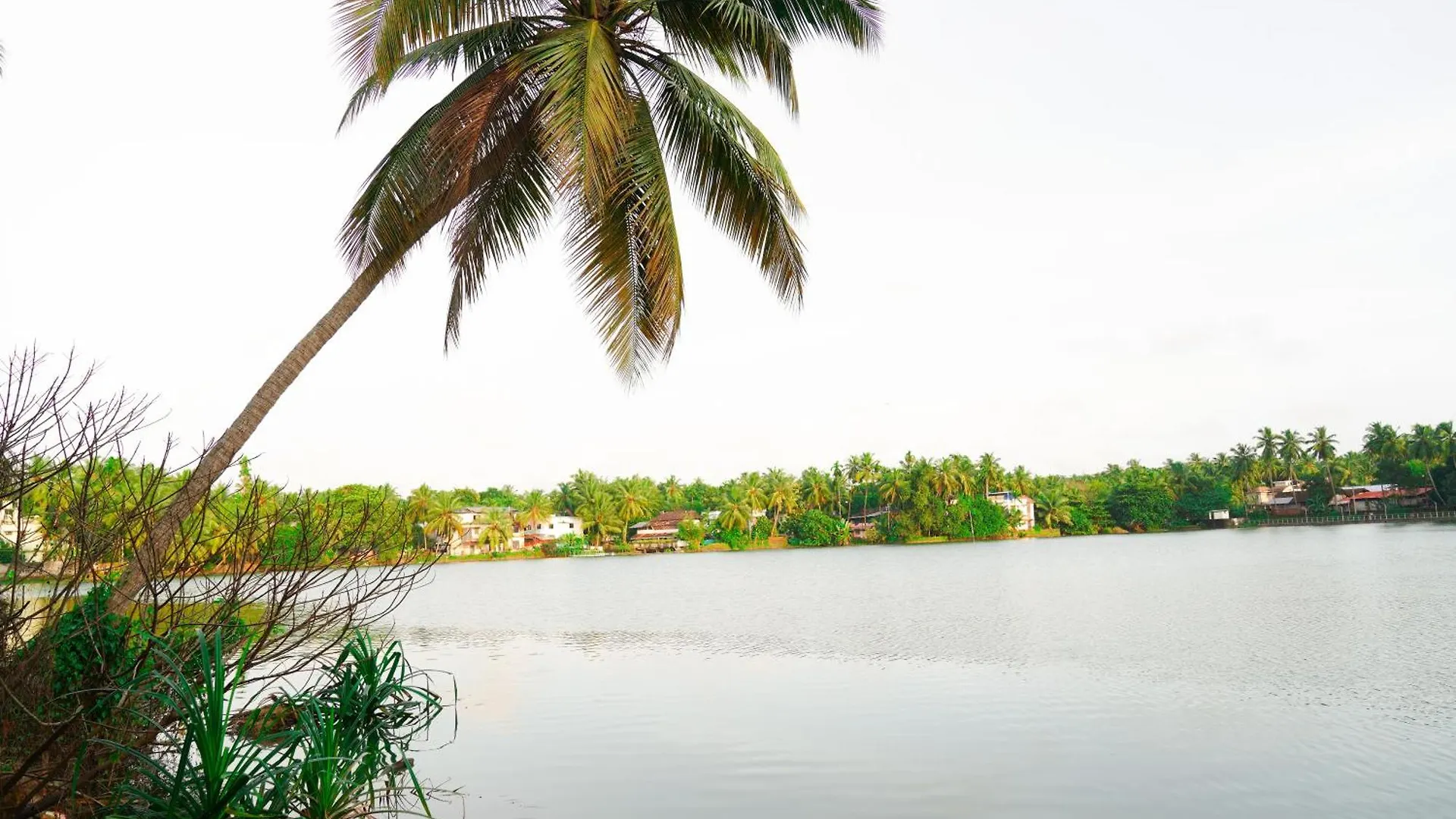 Jaladhija - Lakeview Homestay Kozhikode 0*,  India