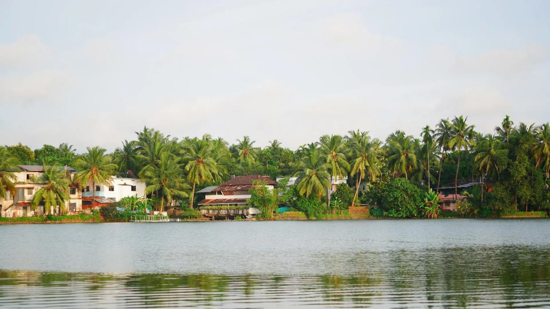 Jaladhija - Lakeview Homestay Kozhikode